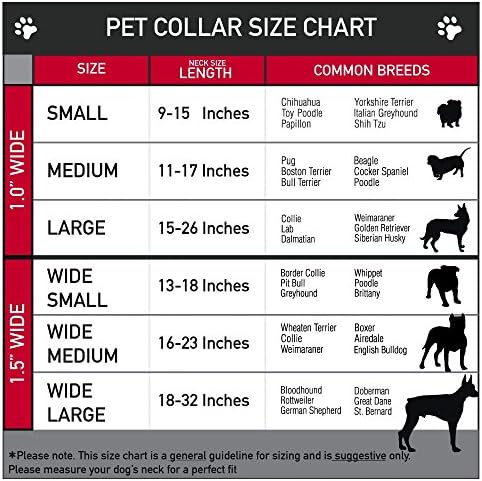 צווארון כלב אבזם חגורת בטיחות טאקו איש 16 עד 23 אינץ 'ברוחב 1.5 אינץ'