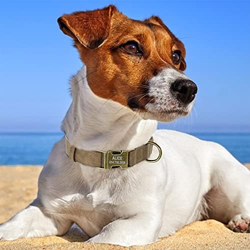 אמן חיות מחמד צווארון כלב עור עם אבזם מתכת, צווארון כלבים כבד מתכוונן לחתולי כלבים גדולים בינוניים קטנים חיות מחמד M, חום