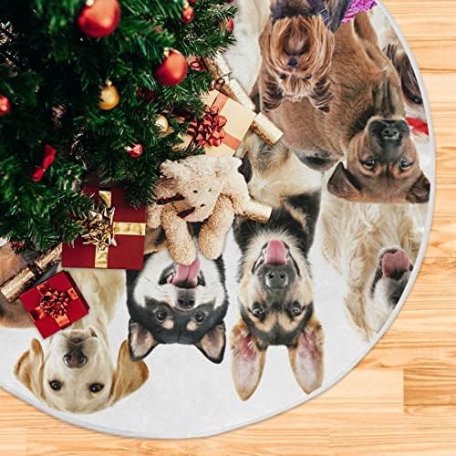 קבוצת Baxiej של כלבים מצחיקים חצאיות עץ חג המולד גדולות מחצלת חורף חג המולד לחג עץ עץ חצאית 47.2 אינץ 'לחיצוניות מקורה