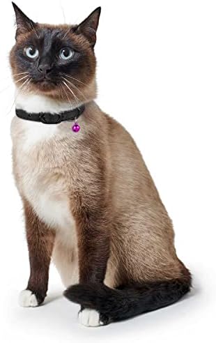 צווארון חתול עור מורום עם פעמון מתכוונן צווארון חיות מחמד קטן