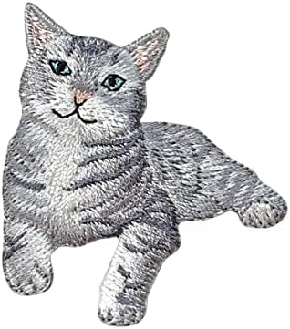 חתול טאבי אפור, חתלתול, חיות מחמד, בעלי חיים, רקומים, ברזל על תיקון