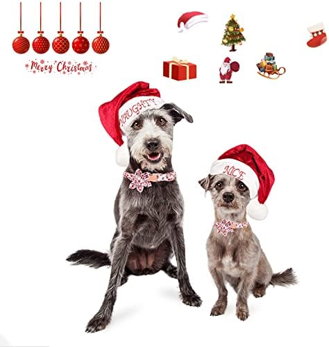 Babole Pet Girlog Girl Collar Collar עניבת פרח, ורוד סנטה קלאוס צווארון כלב נקבה עם אבזם מתכת בטיחותית מתכווננת צווארוני פרחים גורים קטנים בינוניים גדולים, בינוני, צוואר 13.5 -22